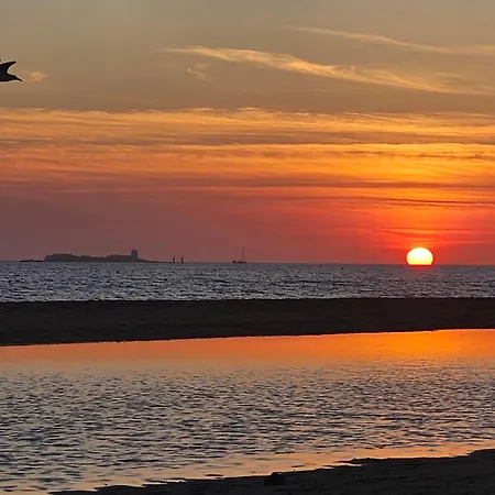 Terraza Chiclana Centro Ciudad * チクラナ・デ・ラ・フロンテーラ